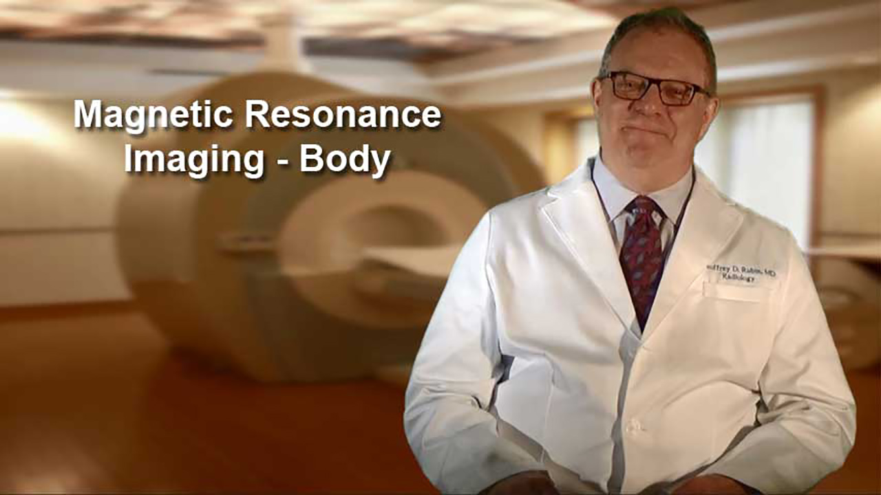 MRI of the Body Explained Biology Diagrams