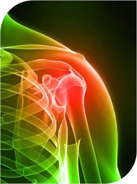  Imagen radiográfica del hombro.
