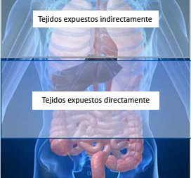  Tomografía computarizada de la parte superior del abdomen.
